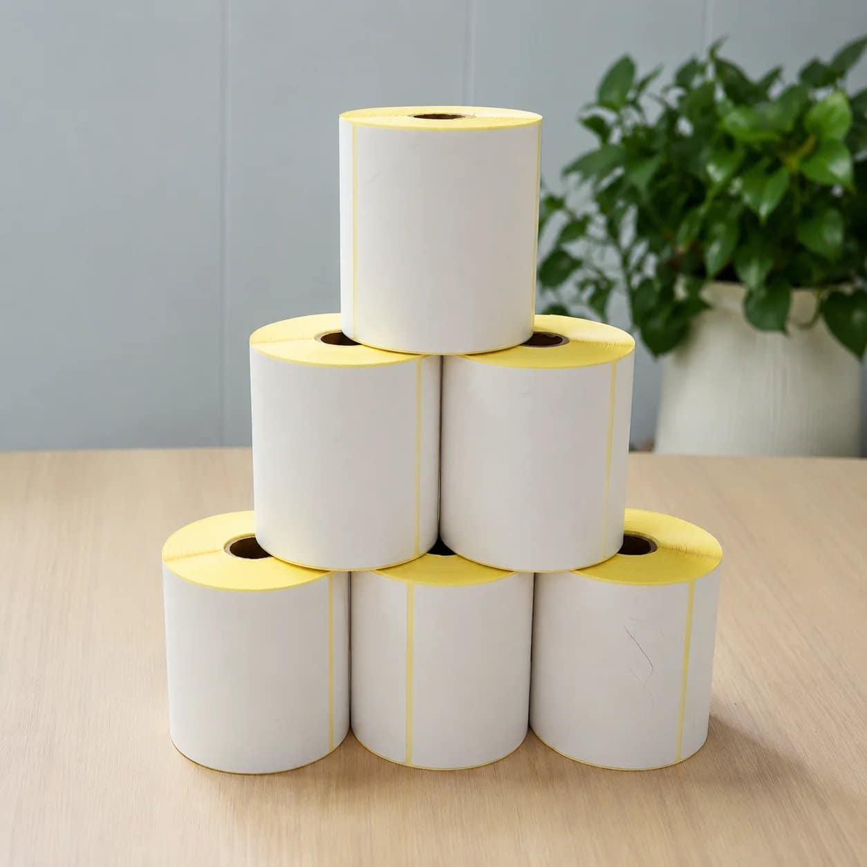 4 x 6 inch direct thermal shipping labels in roll and fanfold formats